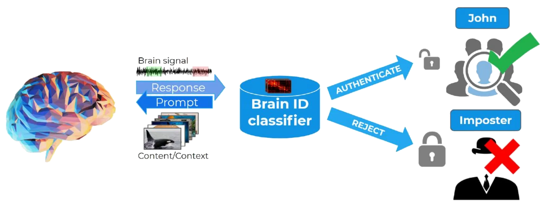 Brain-based Authentication: Towards A Scalable, Commercial Grade Solution Using Noninvasive Signals