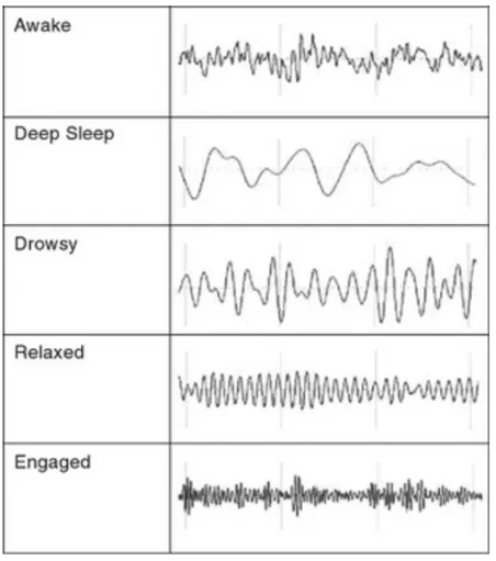 EEG signals and patterns