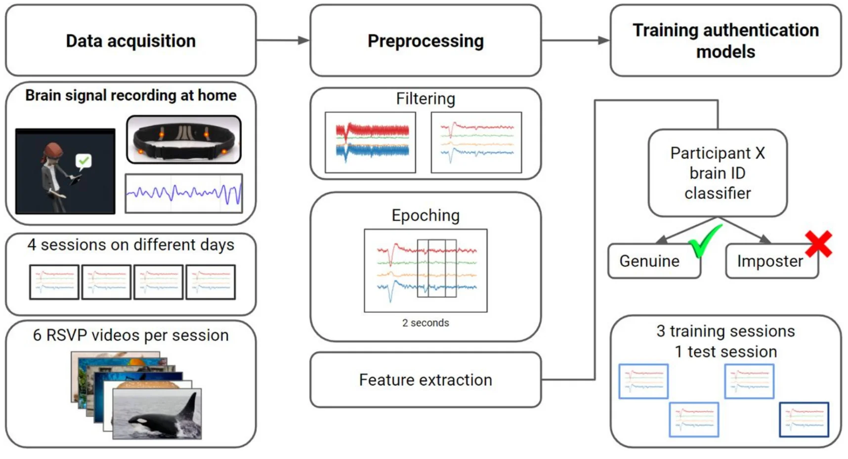 Schematic illustration of the processing pipeline.